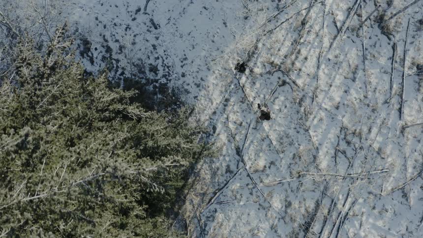 Aerial panorama of two people with equipment walking on a snowy mountain