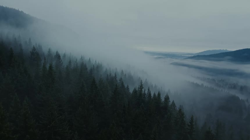 The foggy forest stretches out below descending the mountain