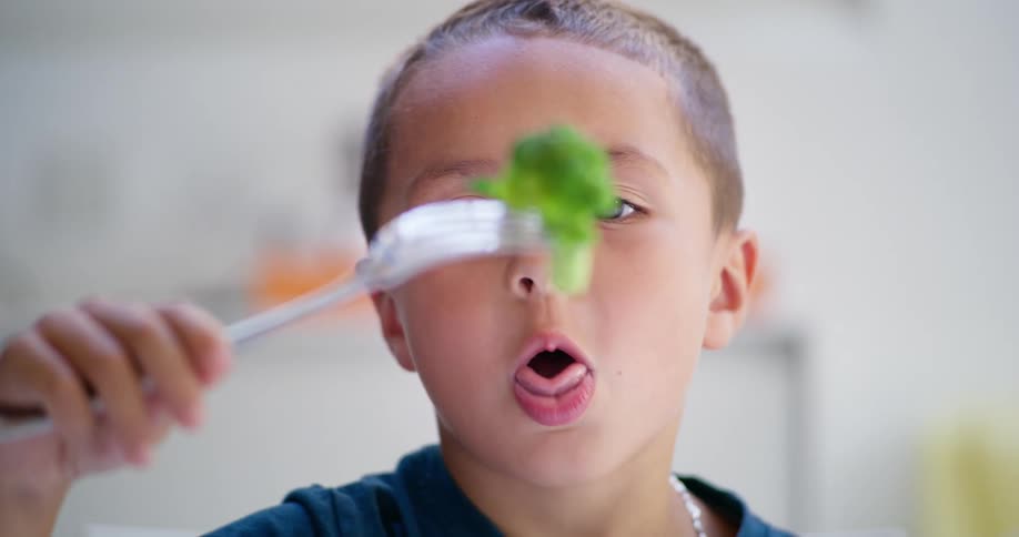 Portrait of a little boy holding a fork with a broccoli