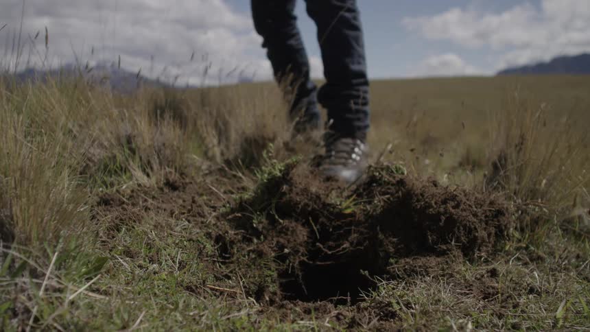 Person with a pickaxe drilling into the ground with grass in a field