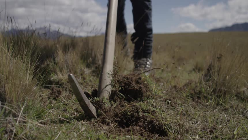 Man digging a hole in the ground with a mattock