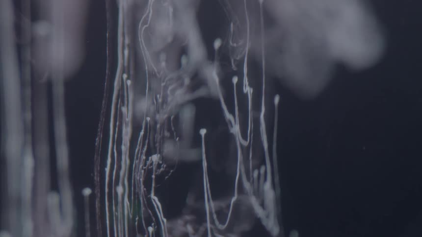 Swirls of stringy smoke floating in the air with a very dark background