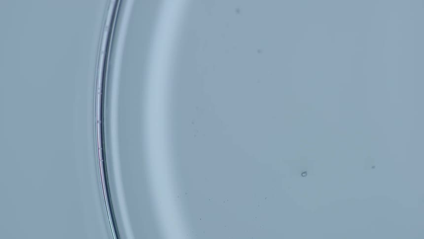 A glass container is reflective at the bottom