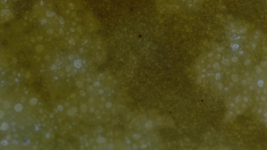 Bubbles and circles in a mysterious liquid seen extremely close-up