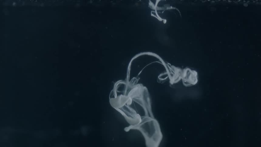 A white liquid swirls and falls downward
