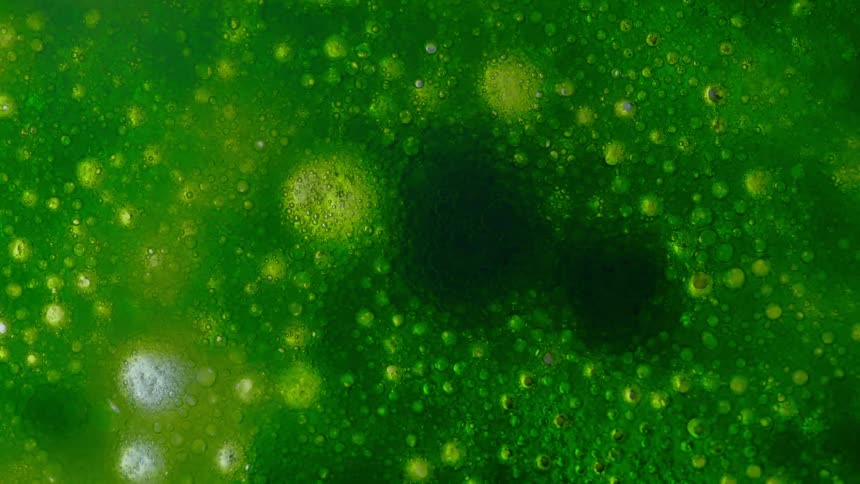 The green liquid is bubbling below