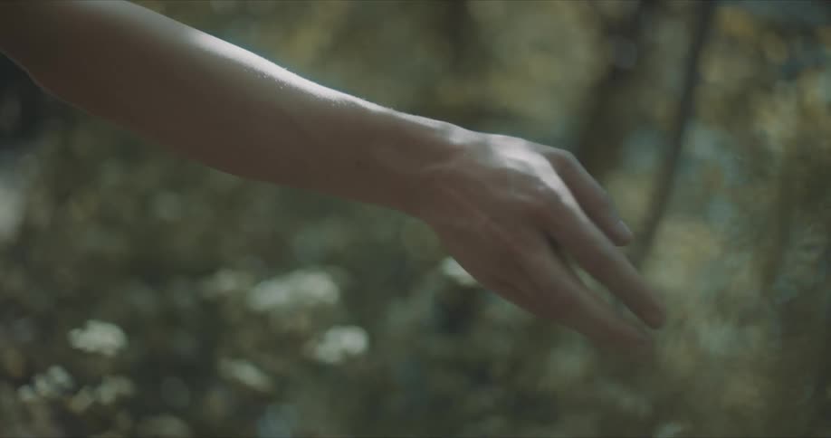Womans hand passing through a bed of white flowers in open sky nature