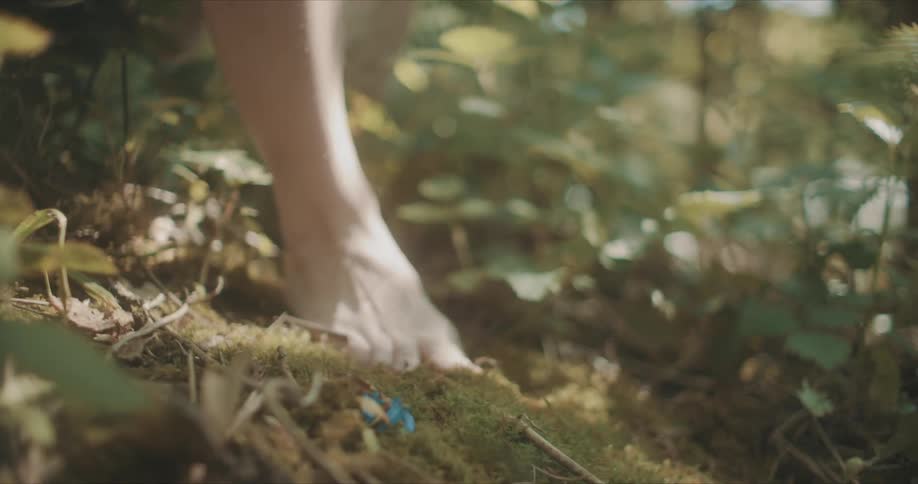 Legs of a barefoot woman walking through fallen leaves in a forest