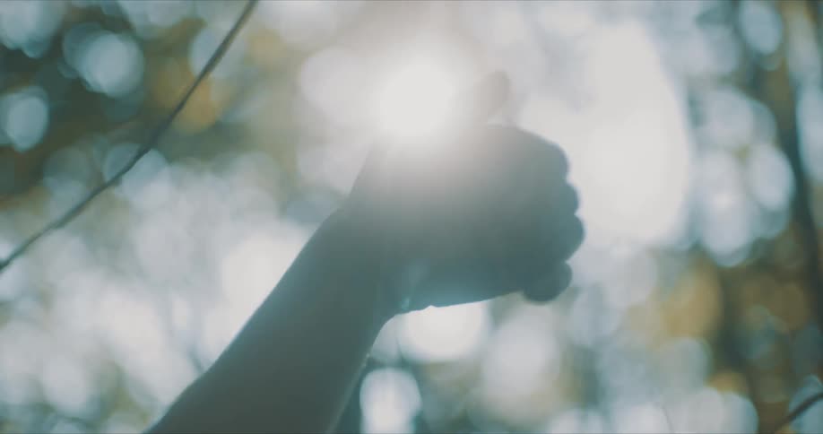 Womans hand pointing upwards moving against the suns reflection and the silhouette of trees