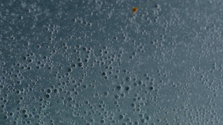 Bubbles floating and flowing in a liquid