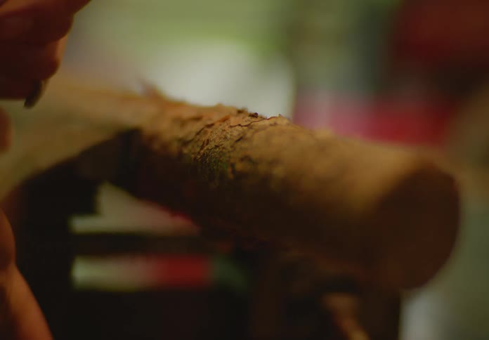 Close up of the hands of a male woodworker as he inserts a small log with bark still intact into a metal vice and tightens it.