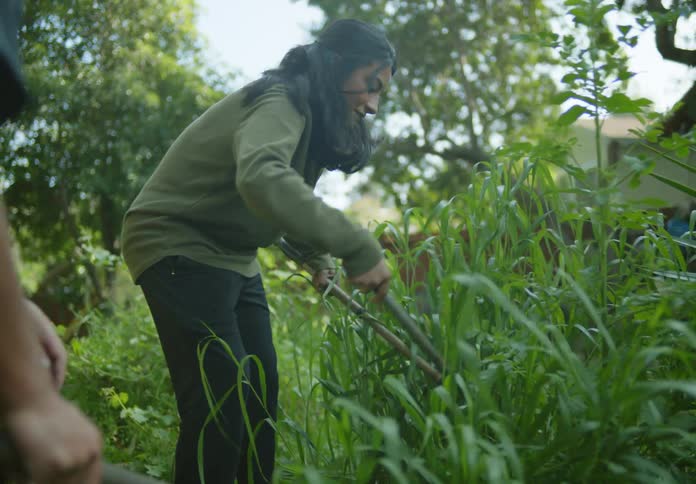 Woman trimming a small bush with a pair of hedge shears in the garden