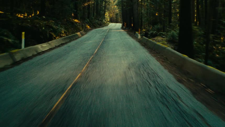 The road is empty in the woods