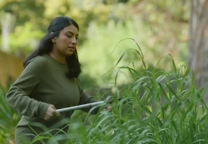 A clip of a lady cutting some weed