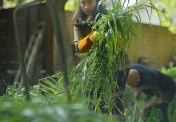 A man and woman are gardening in their yard