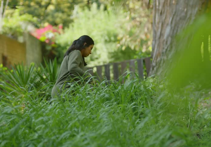 A woman is gardening in her yard