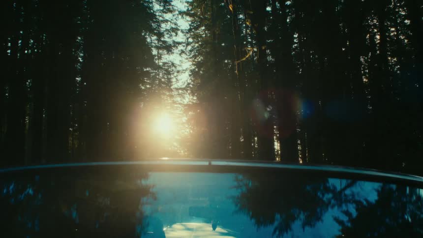 The car is driving past the trees
