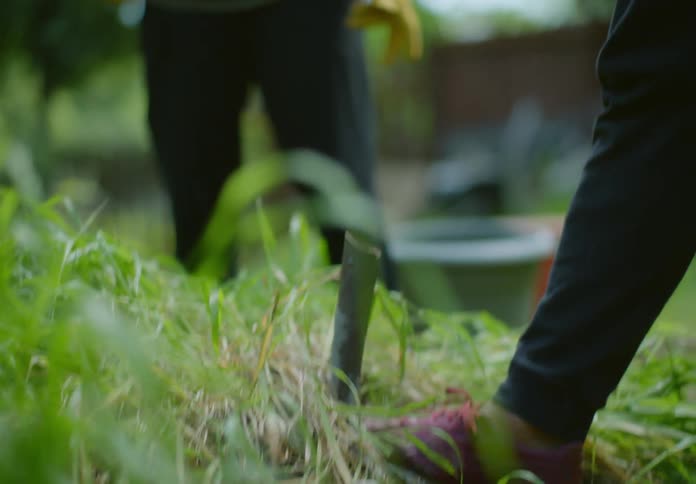 A man laughs when a shovel breaks as he is gardening