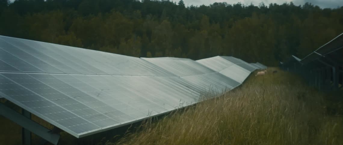 A row of solar panels in a field