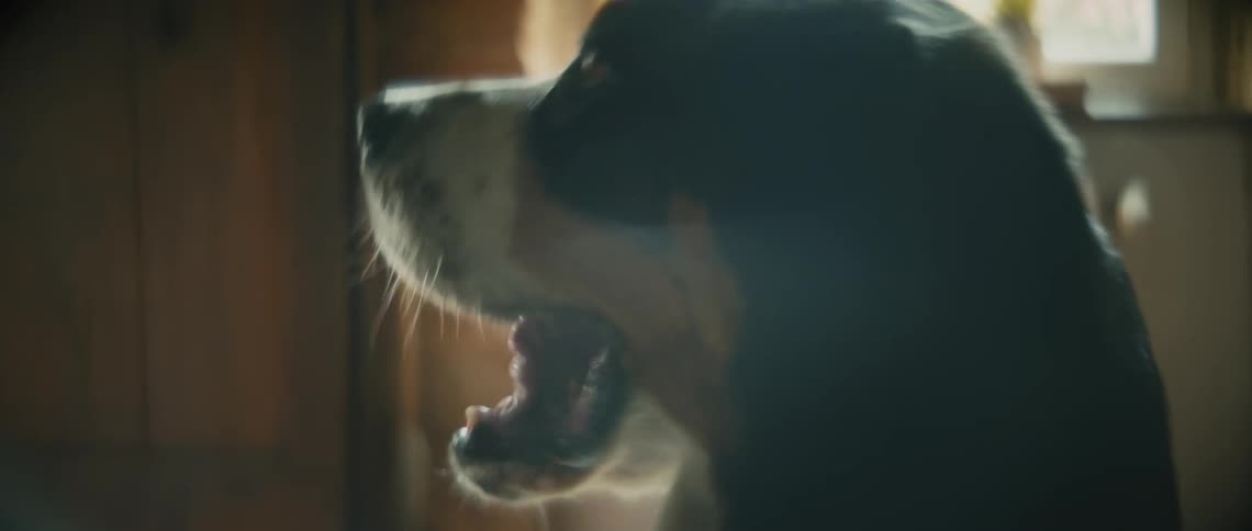 A puppy paws at its owner who is sitting in a chair