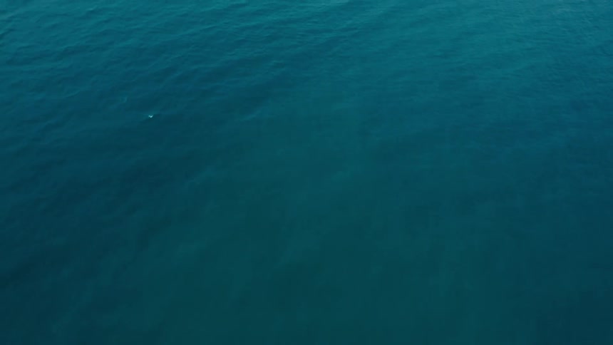 Vast blue sea with a subtle gradient from light to dark