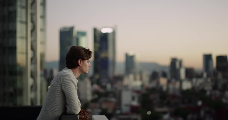 Man looking at an urban skyline during twilight