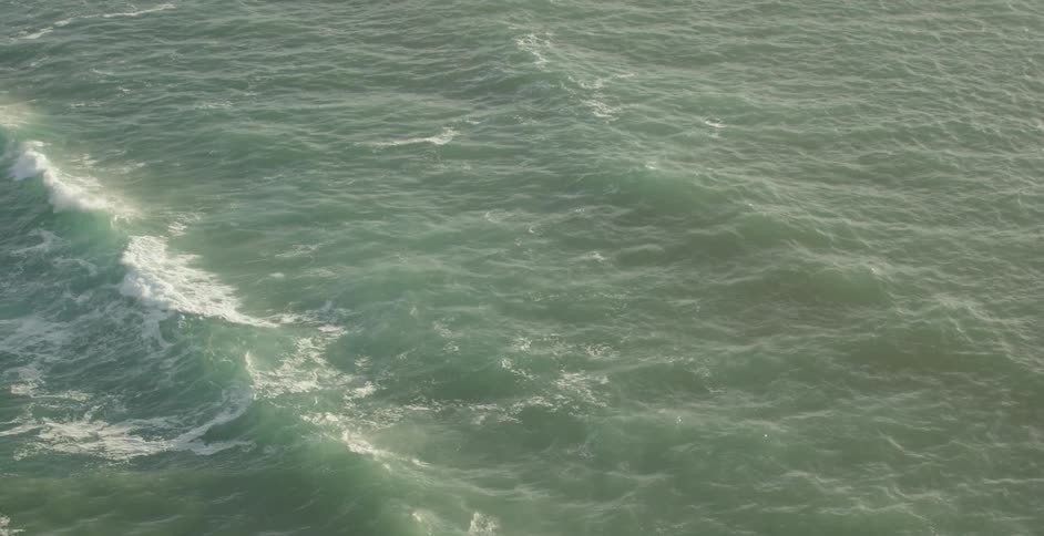 The long crest of a wave pushes forward in the ocean