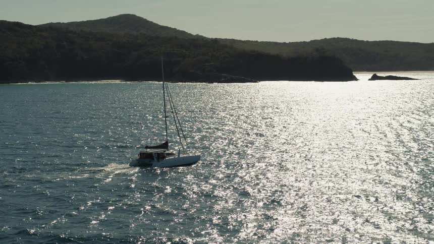 Yacht traveling in a vast sea with the wooded coast in the background