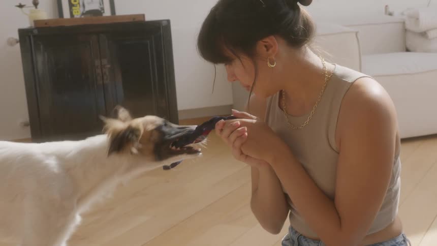 Woman sitting in the living room playing tug on a rope with her dog