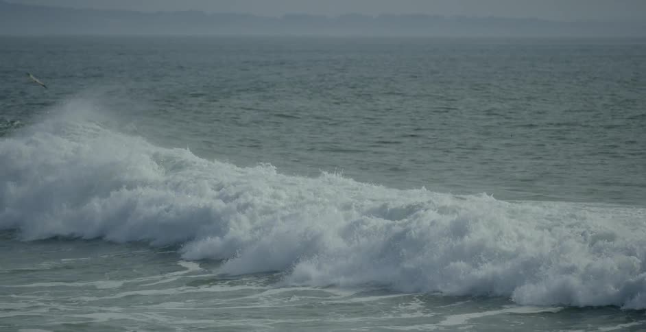 A waves is cresting and rolling toward shore during the day
