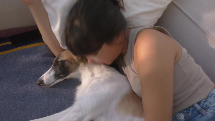 A clip of a lady petting a dog on the bed