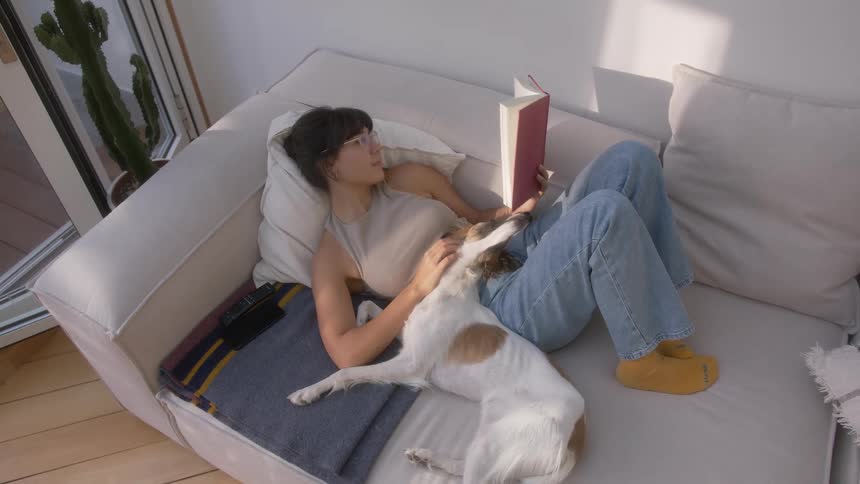 A woman pets her dog while reading a book on a couch