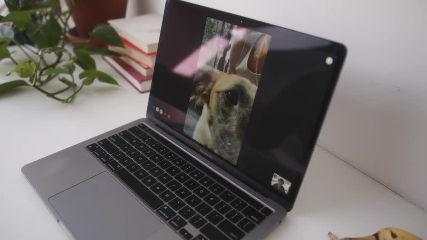 Person gestures while interacting with a woman and her dog during a laptop video meeting