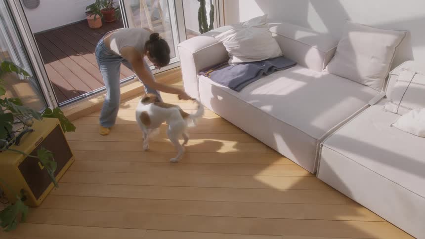 Woman in the living room holding a rope and playing with her dog