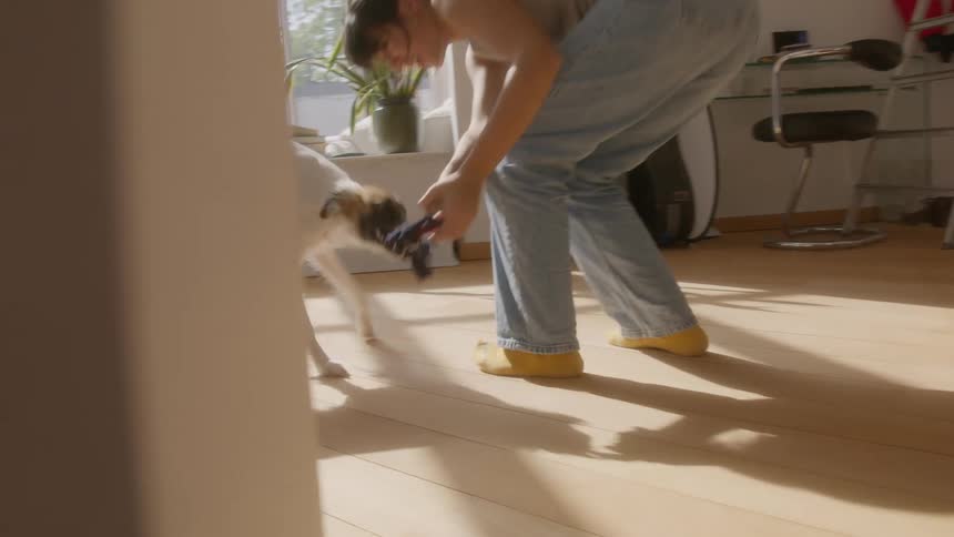 A young woman laughs and plays with her dog in an apartment