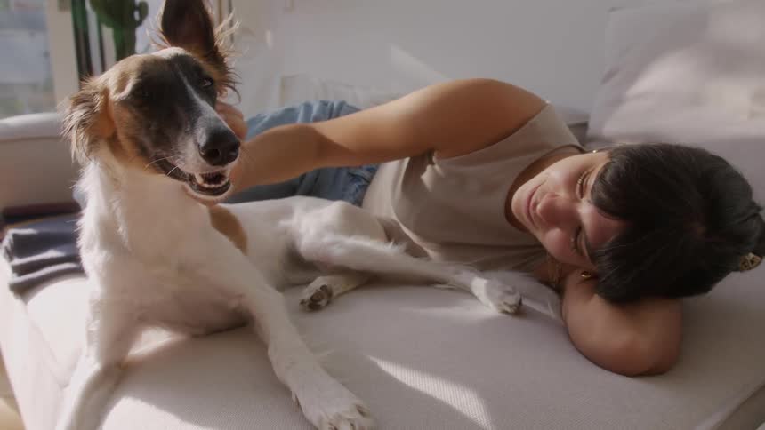 A woman is laying on the couch petting her dog