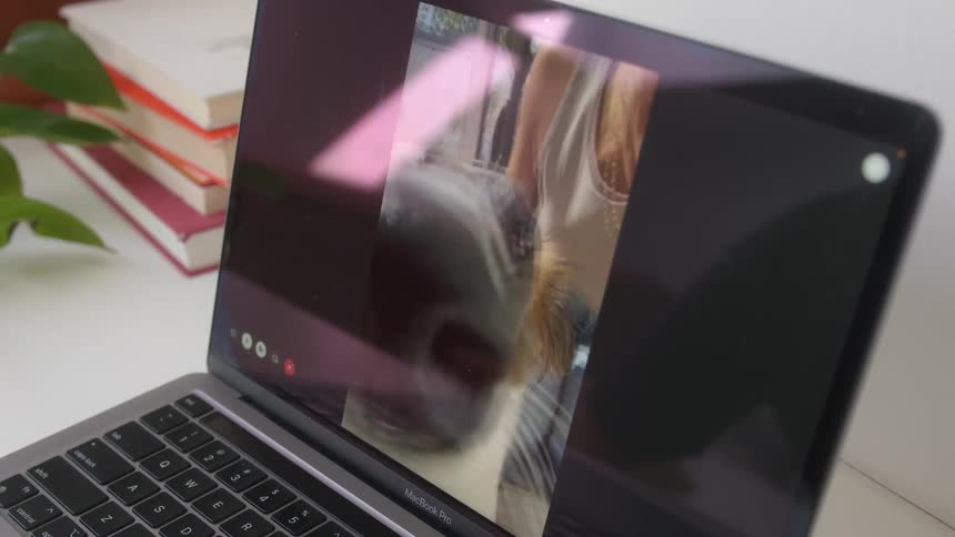 Dog and a woman appearing on a laptop screen in a video call