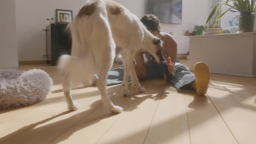 A laughing woman coaxes her dog over for petting