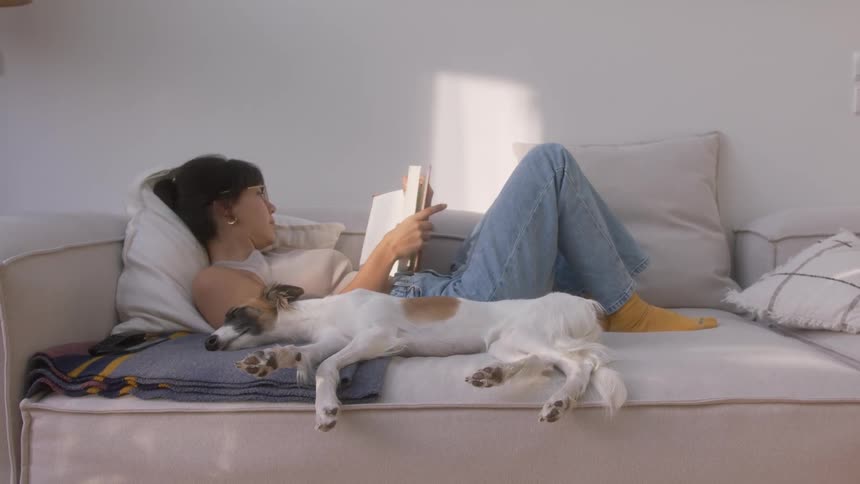 Dog lying down and sleeping next to his owner who is reading a book