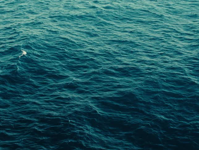 Aerial view of a body of ocean water