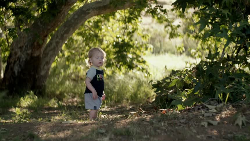 A toddler boy is standing in a wooded area on a sunny day