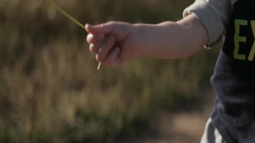 A boy is waving a stalk of grass he's holding in his hand