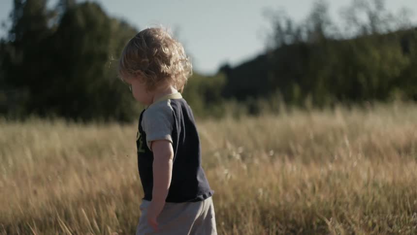 A young child walking in a field