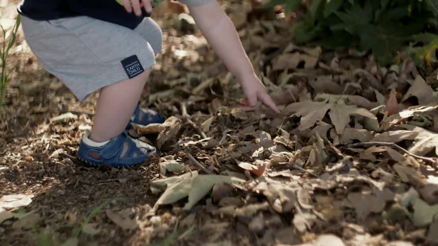 Young child pointing down and touching a dead leaf that has gathered with others on the ground