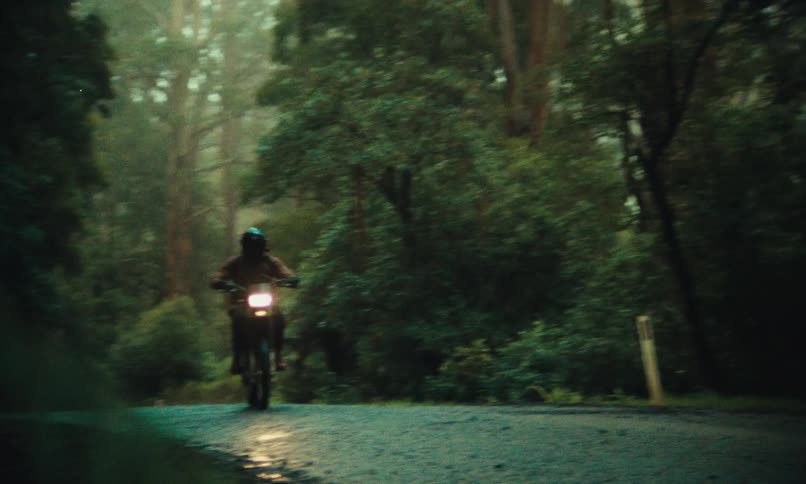 Person riding a motorcycle on a road in the middle of a forest