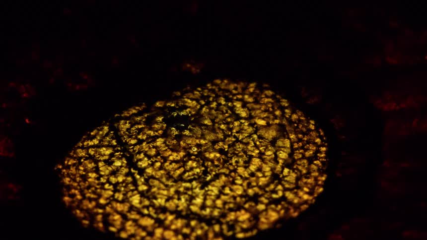 The gold liquid is boiling in the dark