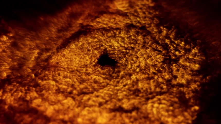 Organic texture in golden and brown tones in an abstract vortex in suction
