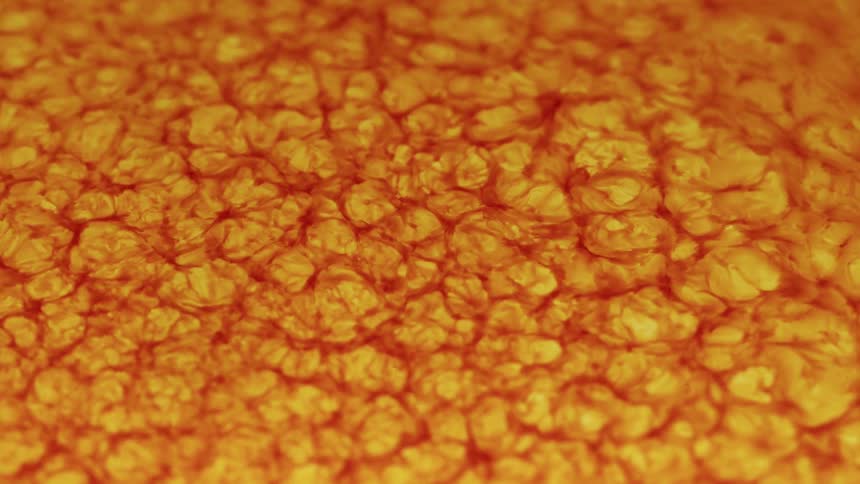 Texture in extreme closeup in a spongy and orange expanding organic pattern