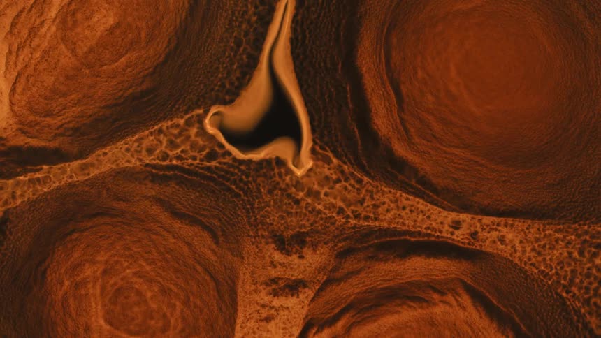 Closeup of a textured surface with various shades of brown in abstract motion
