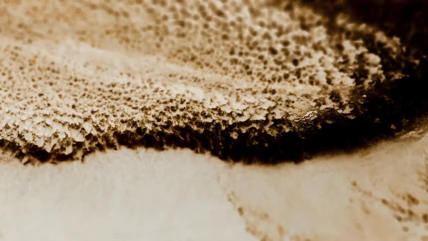 Dense and abstract liquid in suction